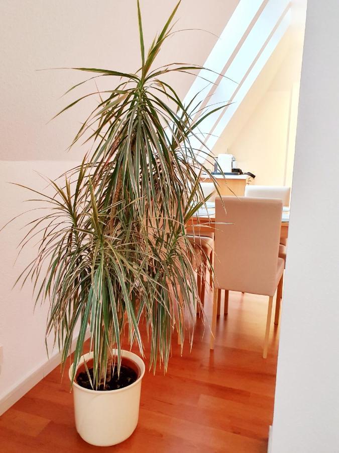Zentrales Dachgeschoss-apartment Apartment